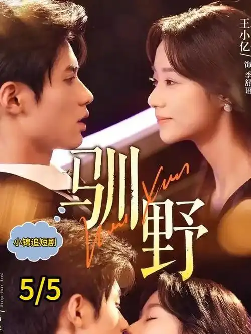 归途列车热播电视剧全集免费在线观看